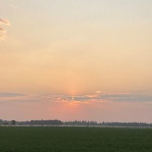 Meet your Posher, Bailey